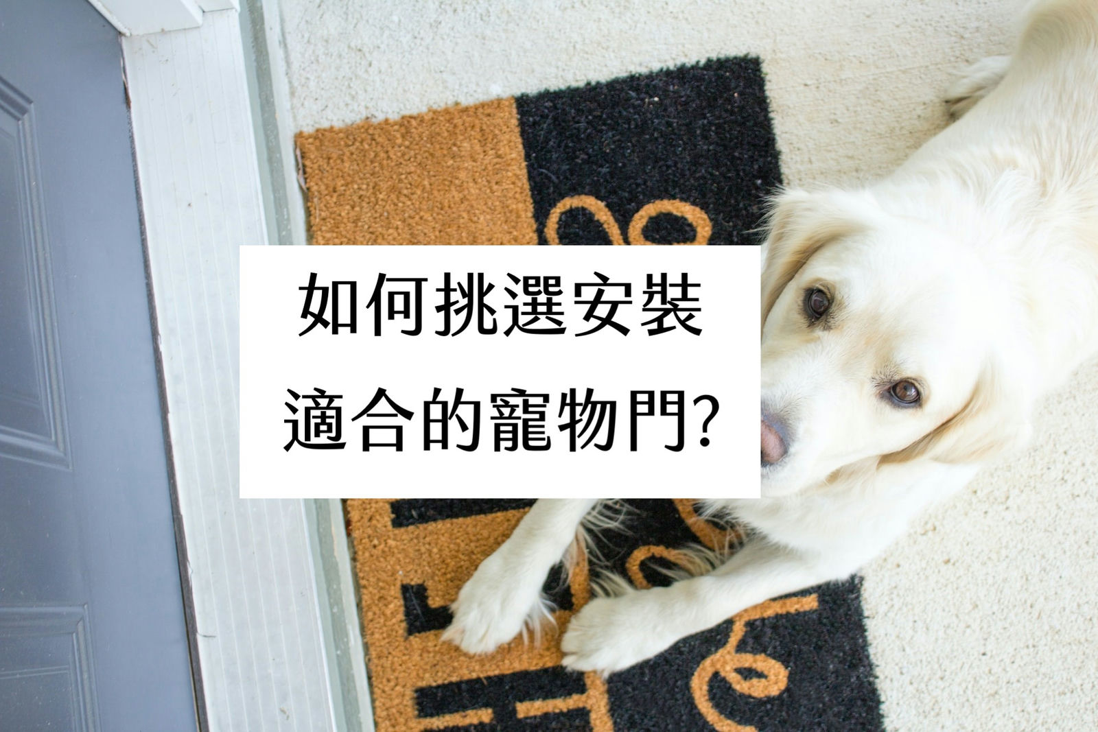 如何挑選安裝適合的寵物門?